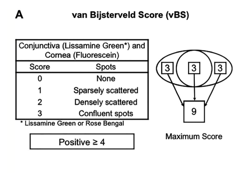 van_bijsterveld_score.png van_bijsterveld_score.png
